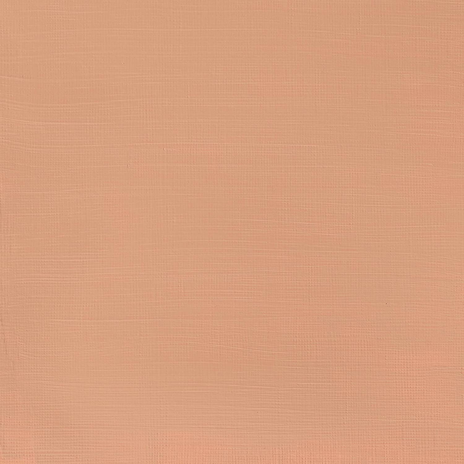 Winsor & Newton Galeria Colore Acrilico 120 ml - Terracotta Chiara - 2