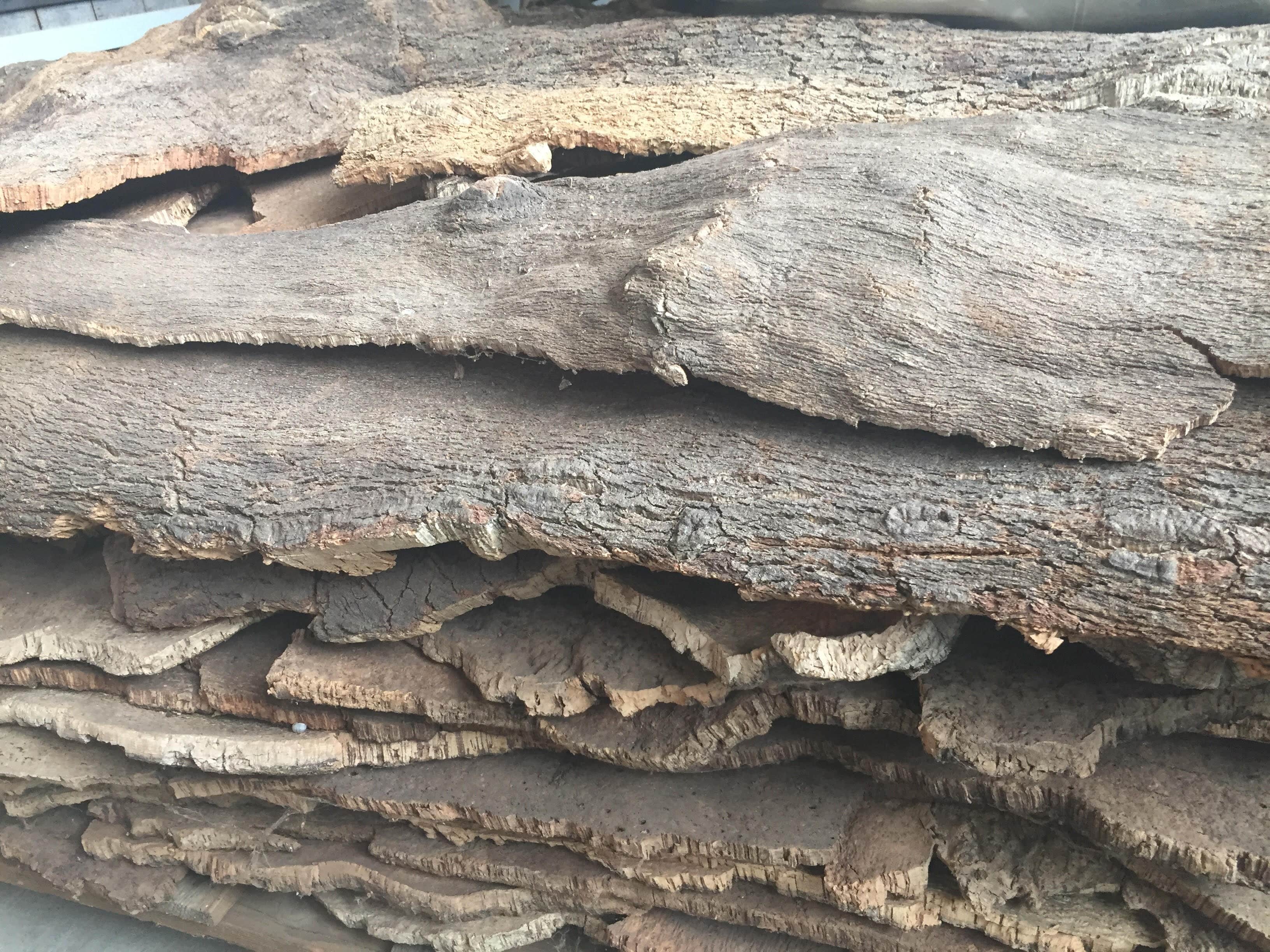 Corteccia di sughero (Pelle di coniglio o Lingue di Gatto) 1kg - 2