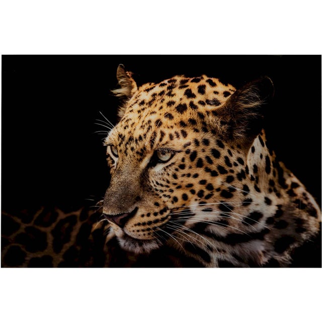 Tableau léopard Gratz en Verre 150 x 2 x 100 cm Orange, Rouille