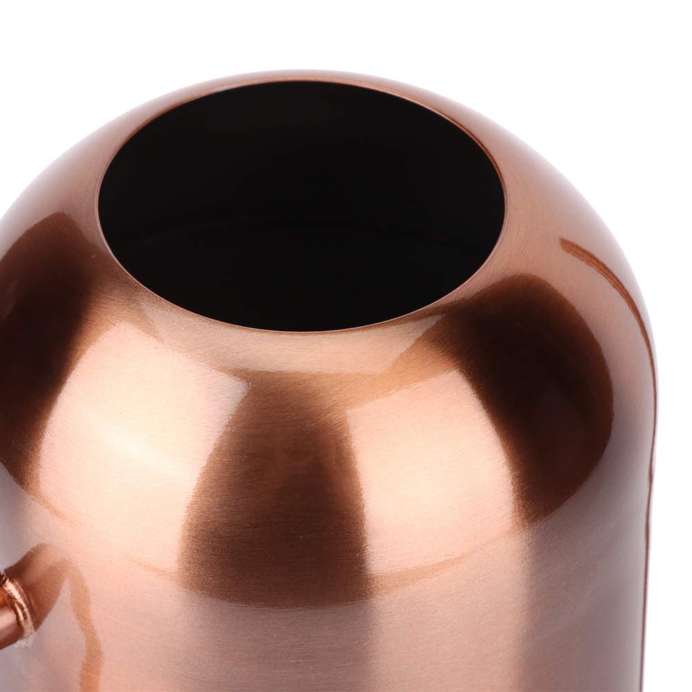 Annaffiatoio In Acciaio Inossidabile Da 300ml – Bocca Lunga Per Piante E Fiori, Ideale Per Giardinaggio Interno/Esterno, Argento