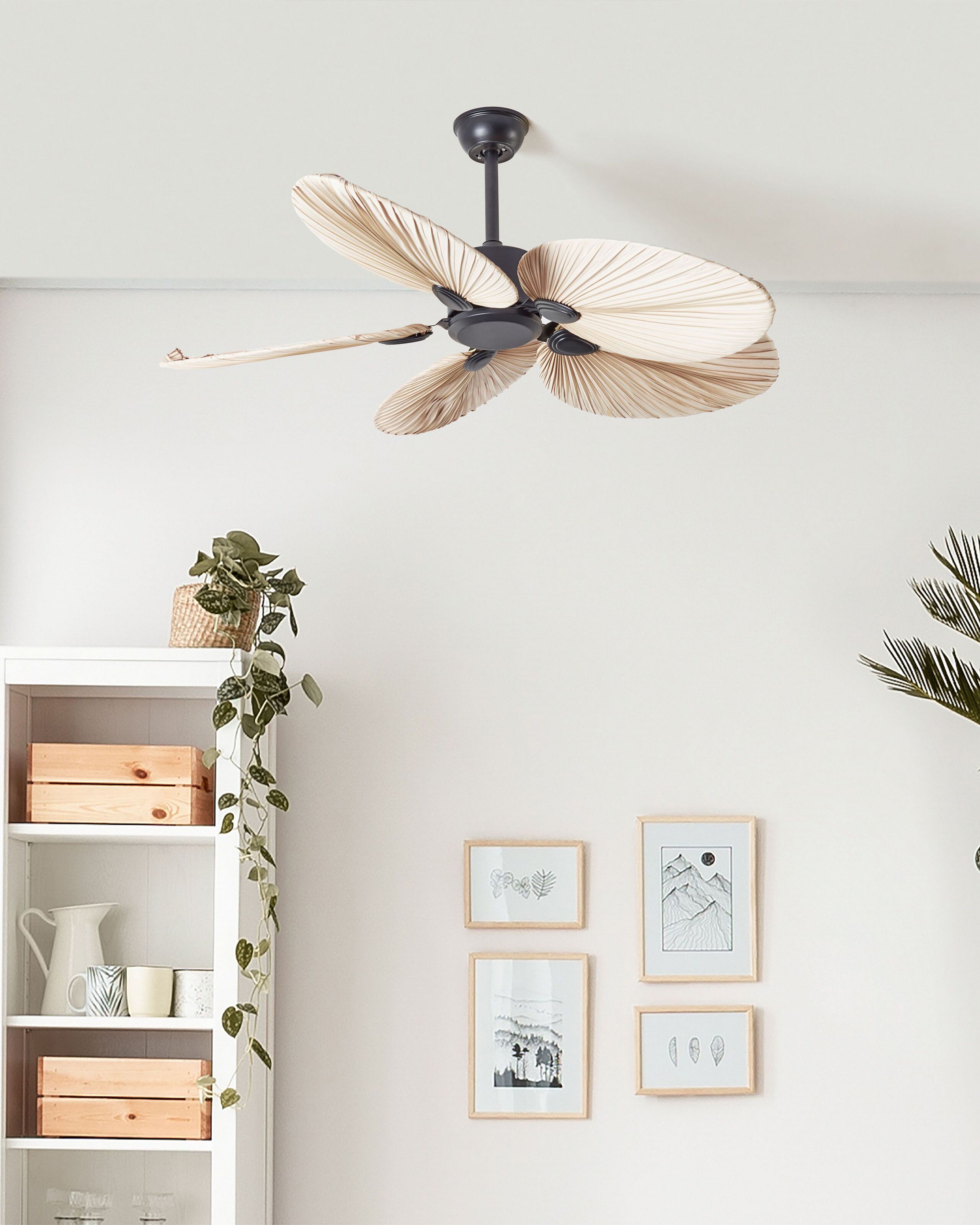 Ventilateur de plafond MAMMOTH Marron - 2