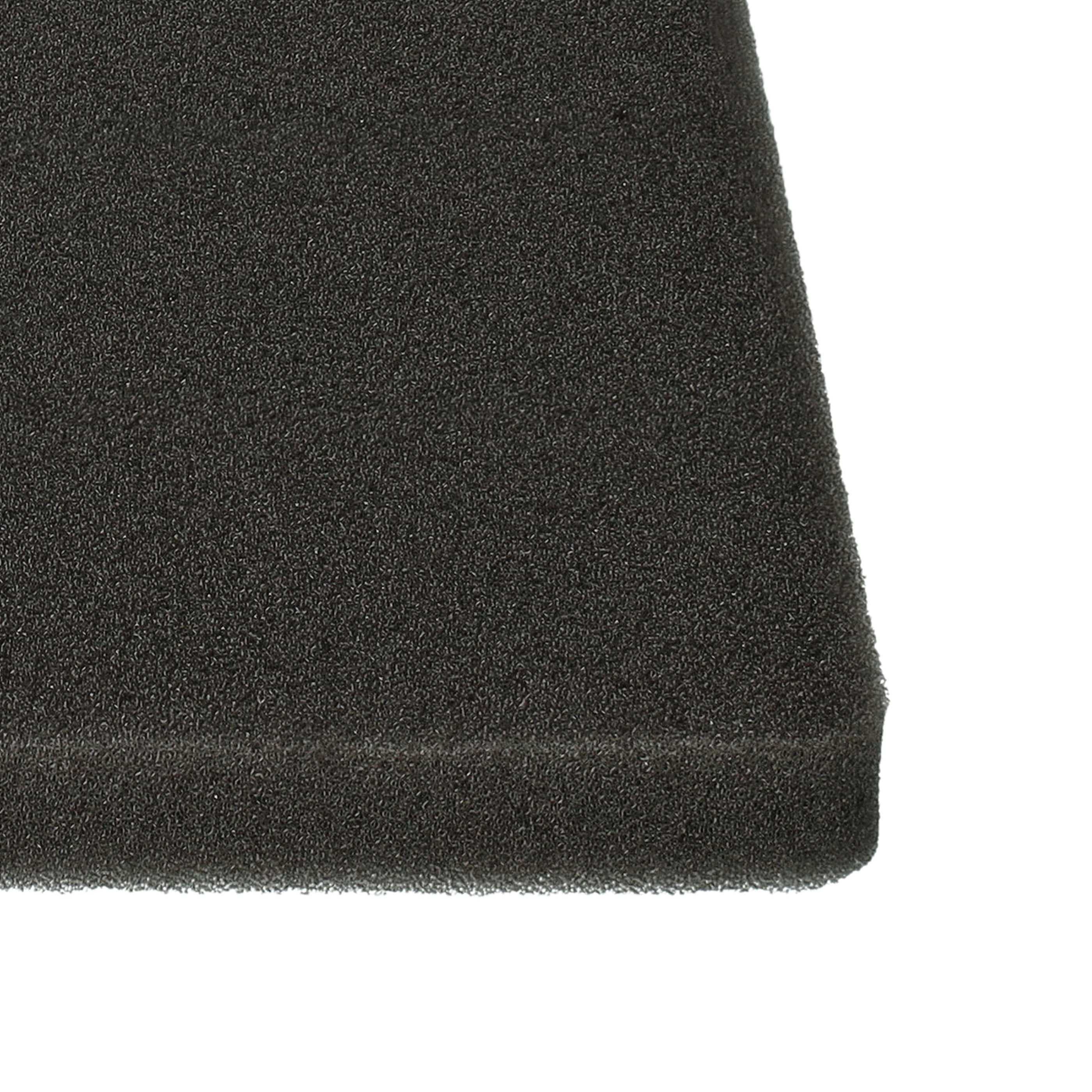 vhbw Filtre compatible avec Electrolux ACX6209EC (910288749) aspirateur - filtre de sortie d'air (filtre éponge), noir - 5