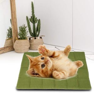 Cuccia Antivento Per Gatti E Cani Piccoli – Tessuto Oxford, Impermeabile, Pieghevole, Con Tappetino Lavabile, Misura M (35×36×38 Cm)