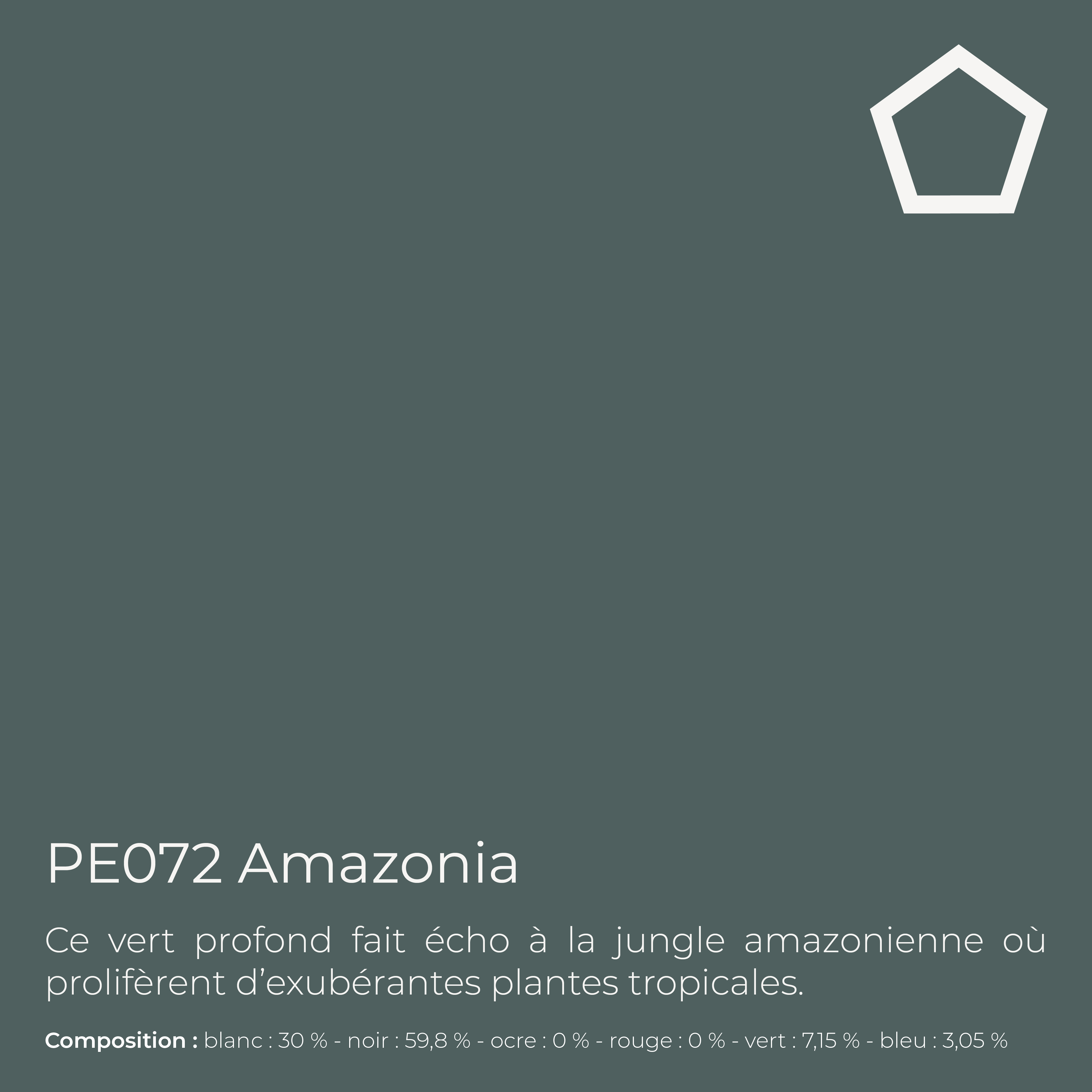 Laque de finition extra résistante pour mur int. & bois - Lak PU Pro Satin, 4 l, Amazonia (PE072) - PEINTAGONE - 3