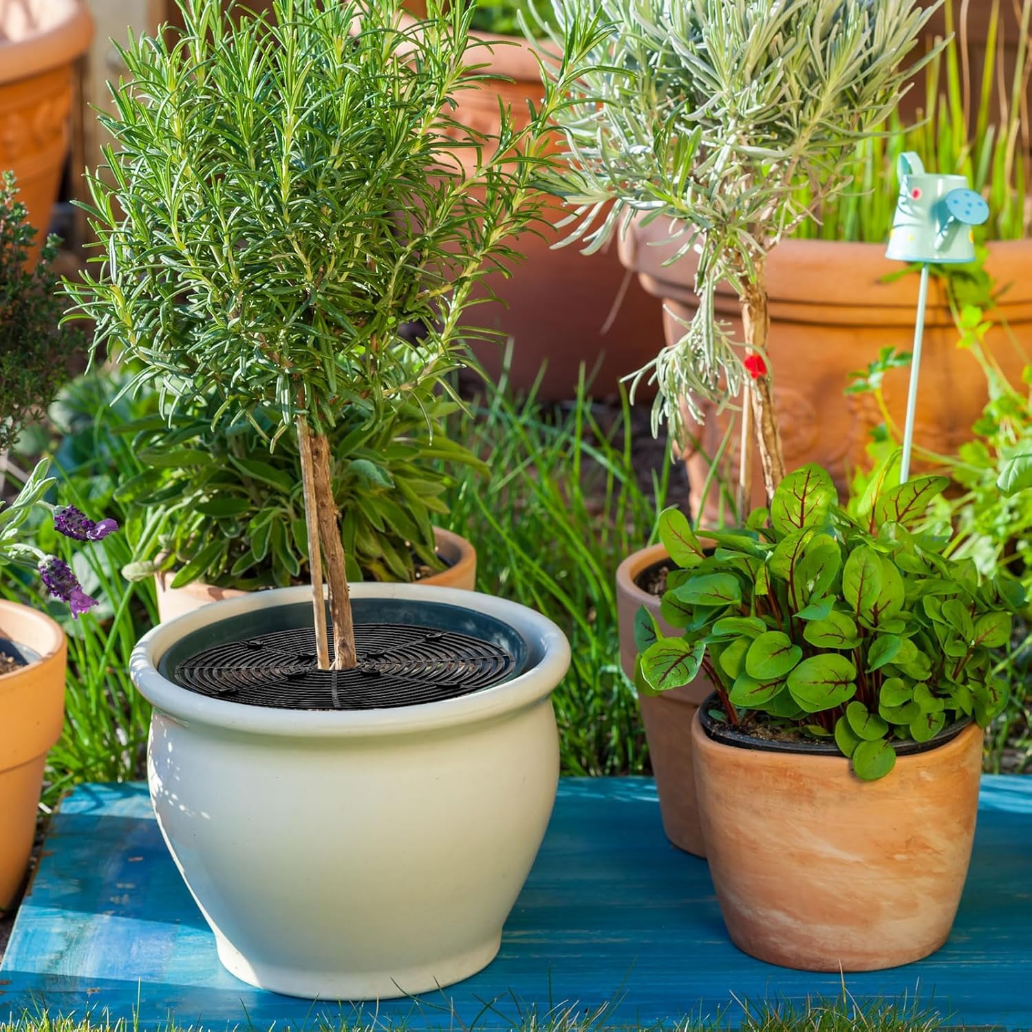 Grade de proteção para plantas de 30 cm, conjunto de 3 unidades, segura para gatos, protetor de vaso de flores redondo, capas de vaso recortáveis, pro - 5