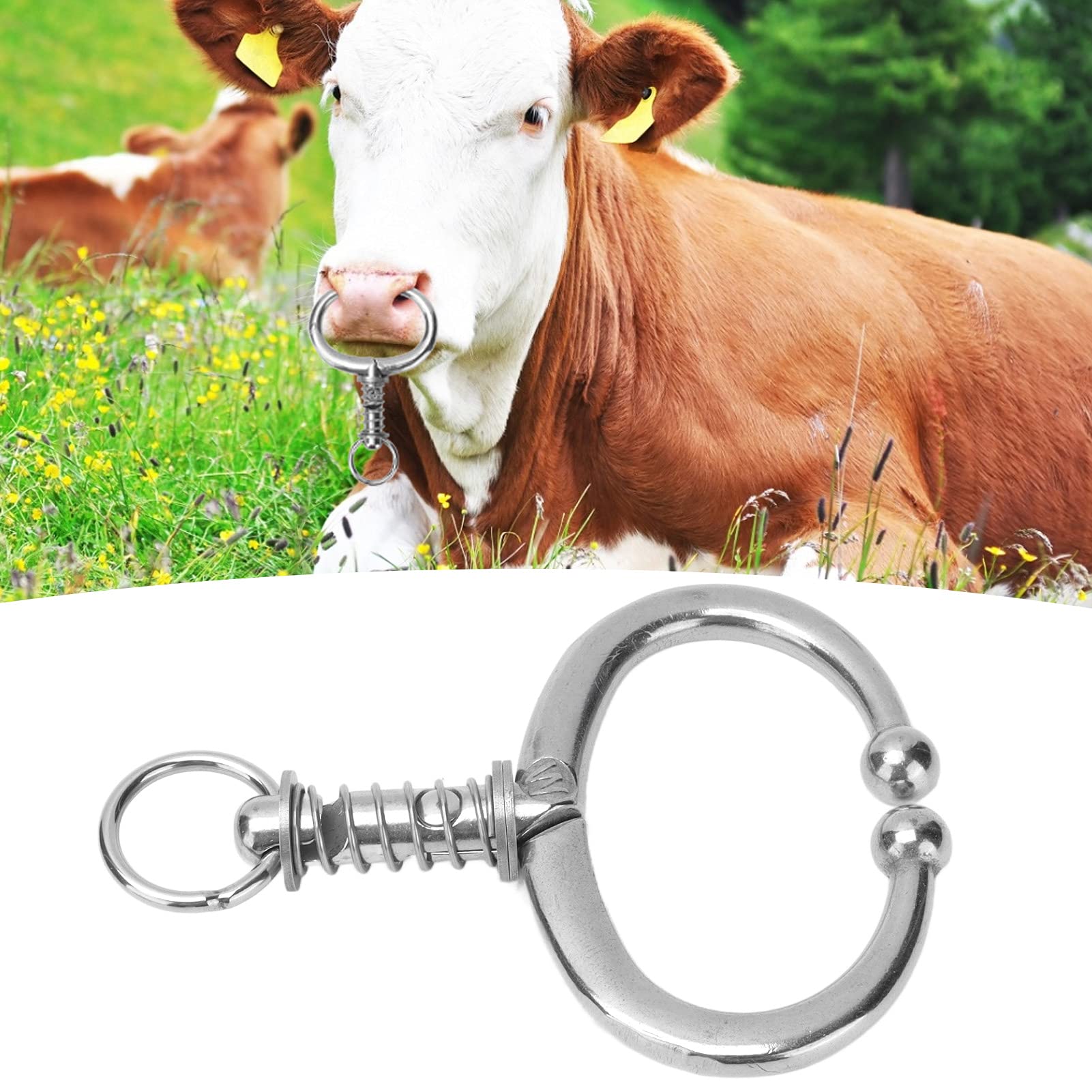 Pince à Nez Pour Bétail En Acier Inoxydable - Avec Chaîne Et Crochet, Tête Arrondie, Sécurité élevée Pour Vaches Et Taureaux - 7