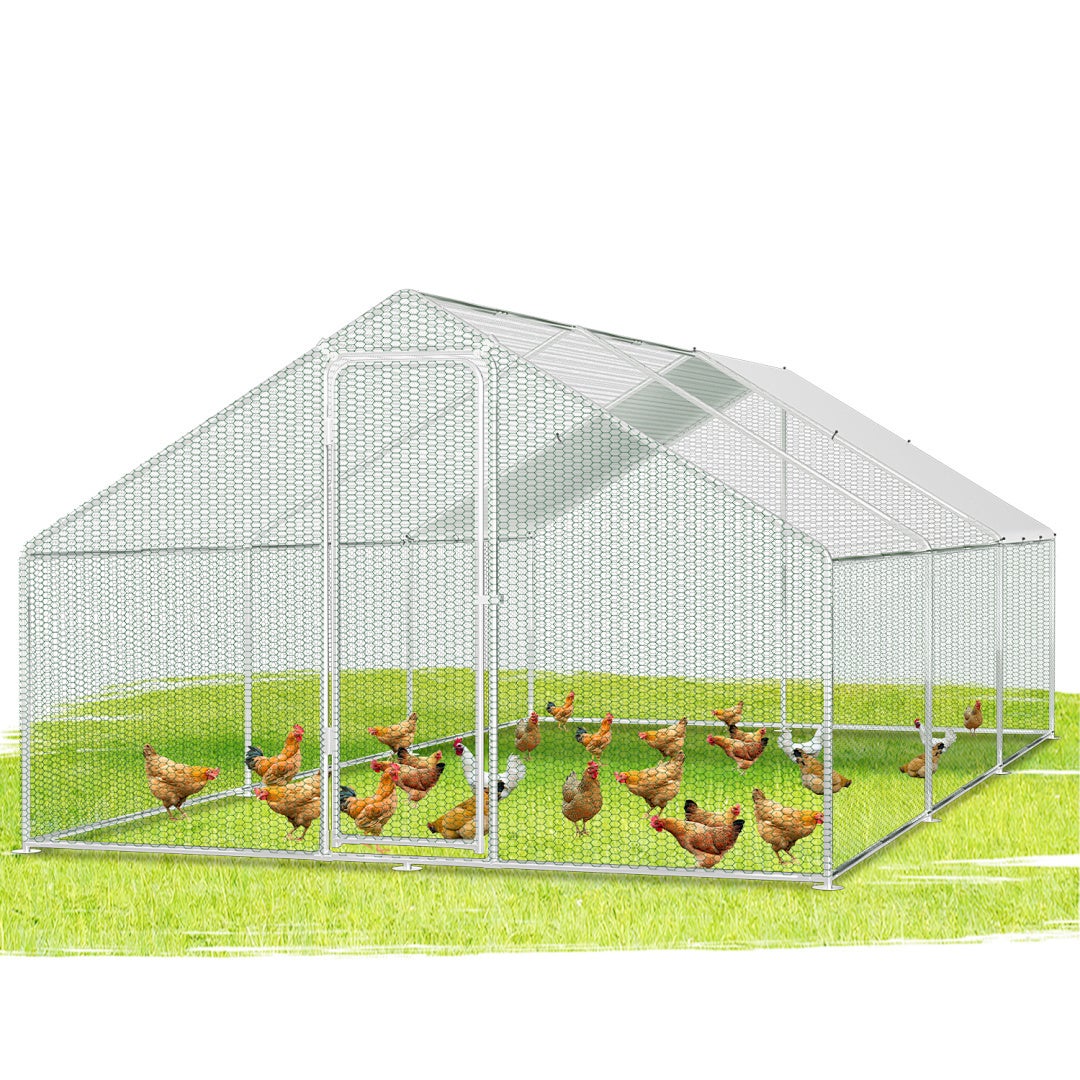Wybieg dla Kur 3×6×2 m – Metalowy wybieg zewnętrzny 18 m², drzwi zamykane, idealny dla kur i małych zwierząt