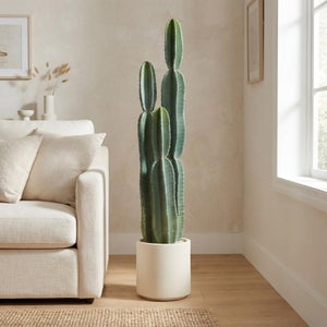 Grande cactus artificiale 111 cm, pianta realistica EVA in vaso, senza  manutenzione  per ufficio e salotto | Leroy Merlin