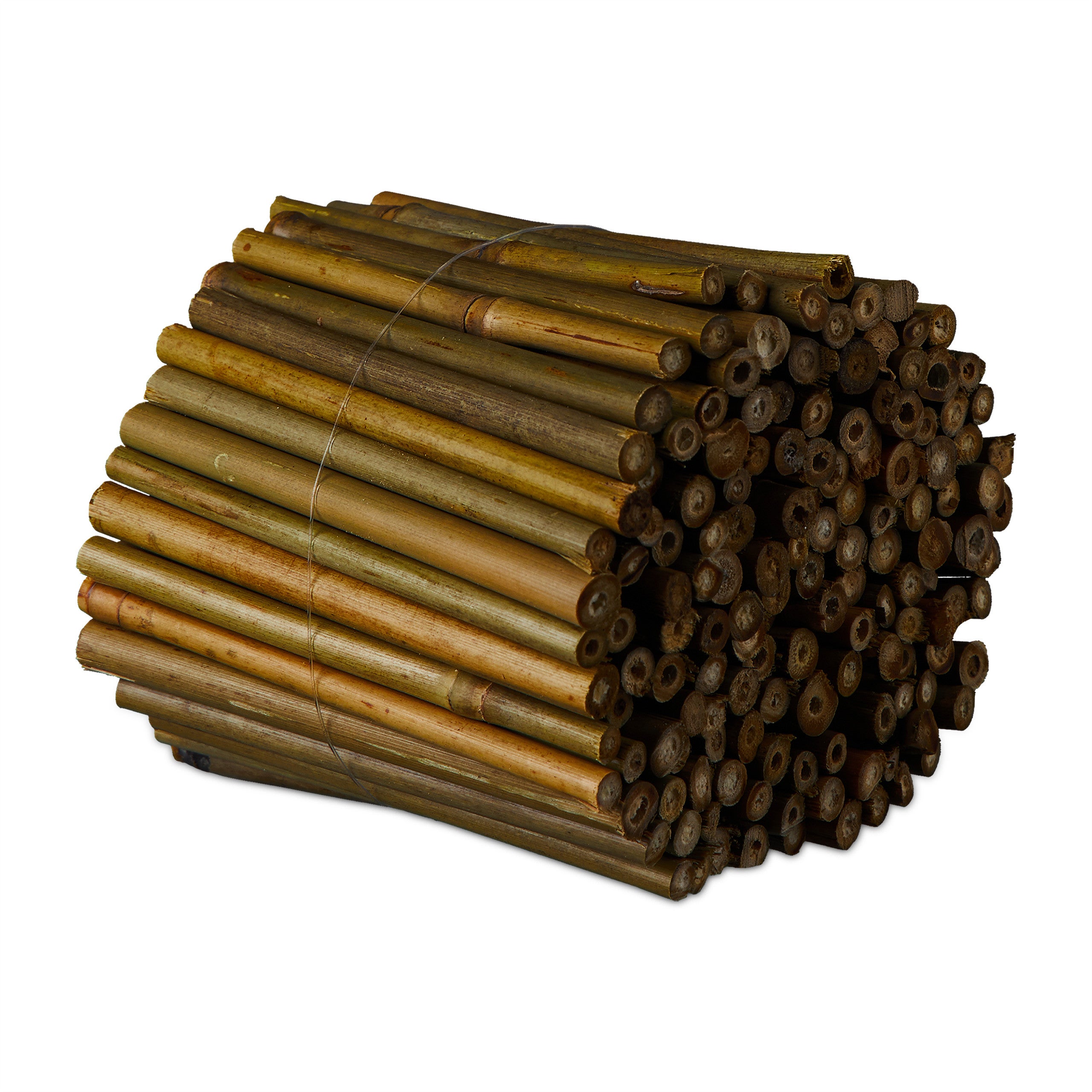 50PCS bastoncini di supporto per piante pianta in ... - Grandado