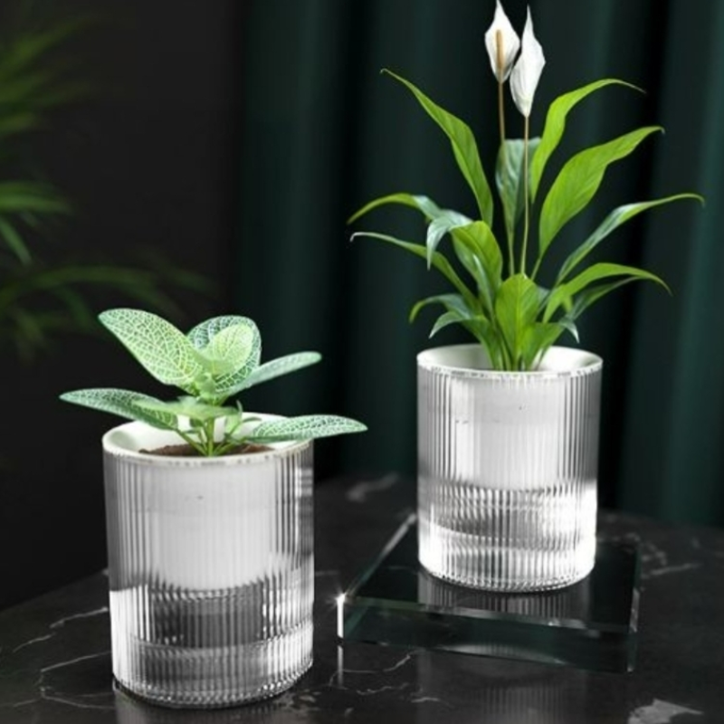 Lot de 3, pots auto-arrosants calibre 15 cm, pots en plastique transparent avec réservoir d’eau pour plantes vertes et fleurs en pot - 2