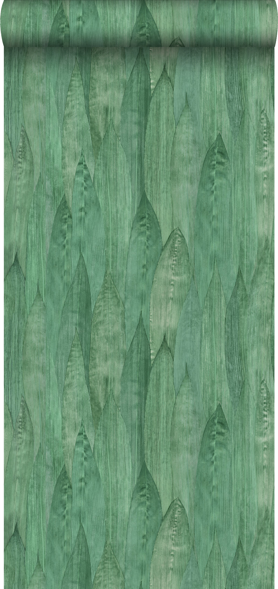 Papel pintado hojas jade verde - 0,53 x 10,05 m - estahome