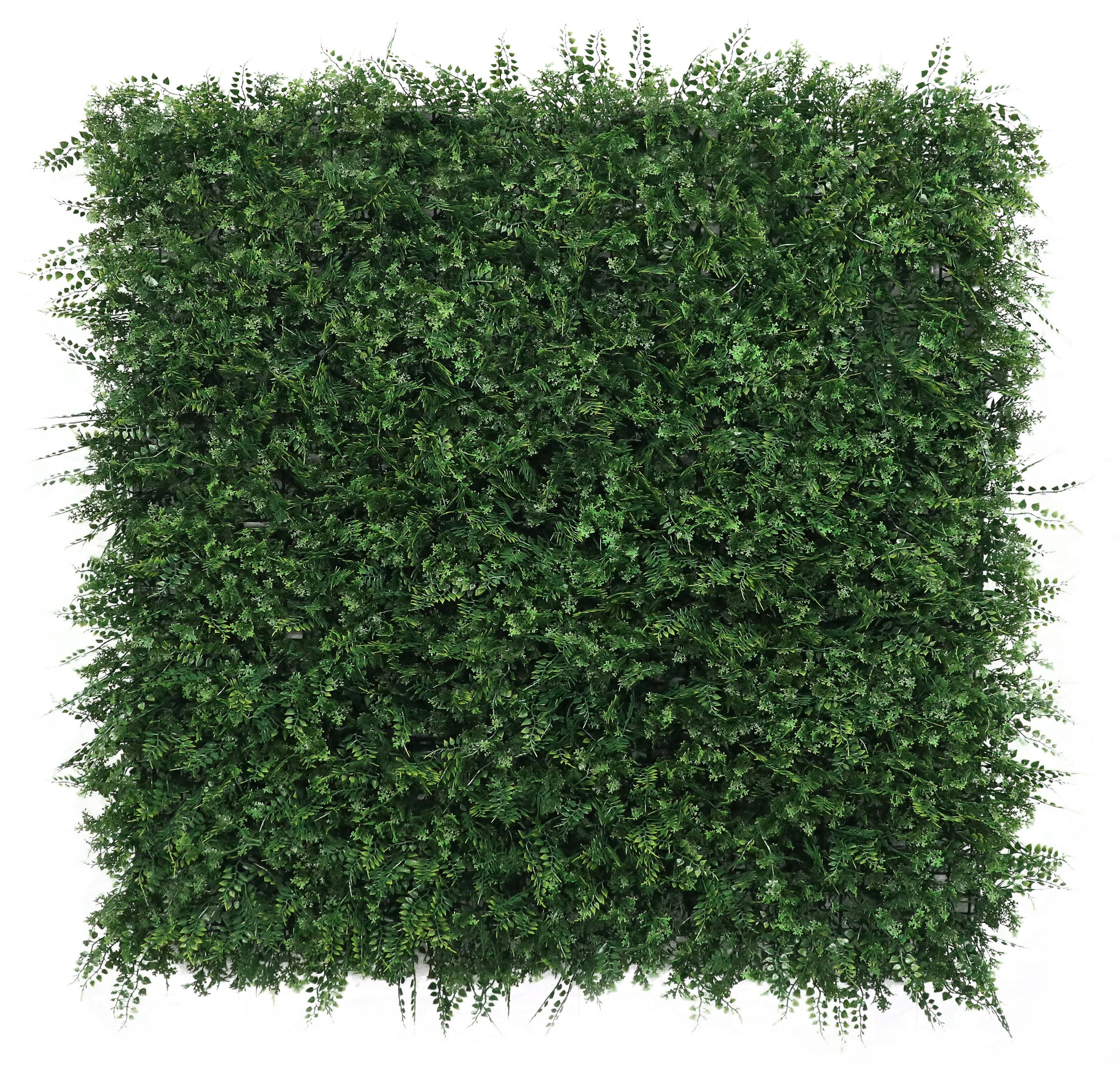 Zielony ogród wertykalny Paproć SINDER 100x100 cm