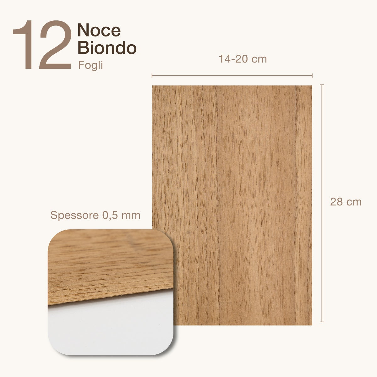 12 FOGLI DI IMPIALLACCIATURA IN LEGNO DI NOCE BIONDO - 2
