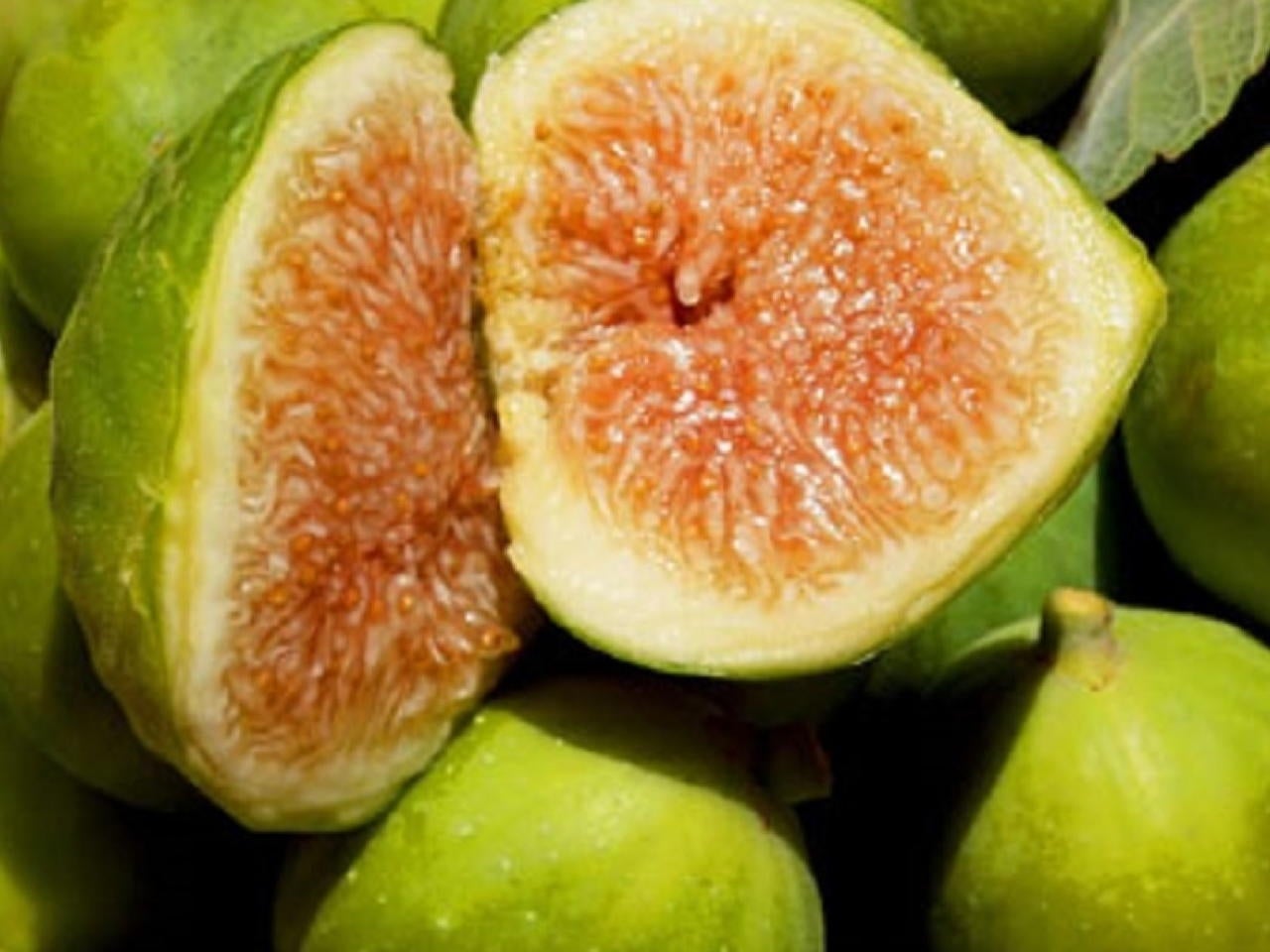 Pianta Di Fico Fiorone Petrelli - Varietà Barese, Precoce, Frutti A Giugno E Agosto, Vaso 20 Cm - Foto 12