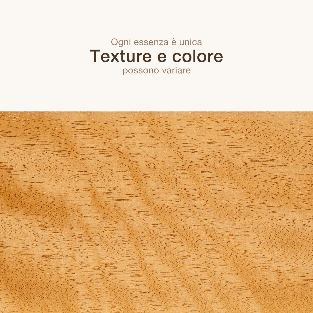 12 FOGLI DI IMPIALLACCIATURA IN LEGNO DI CURUPIXA - 4