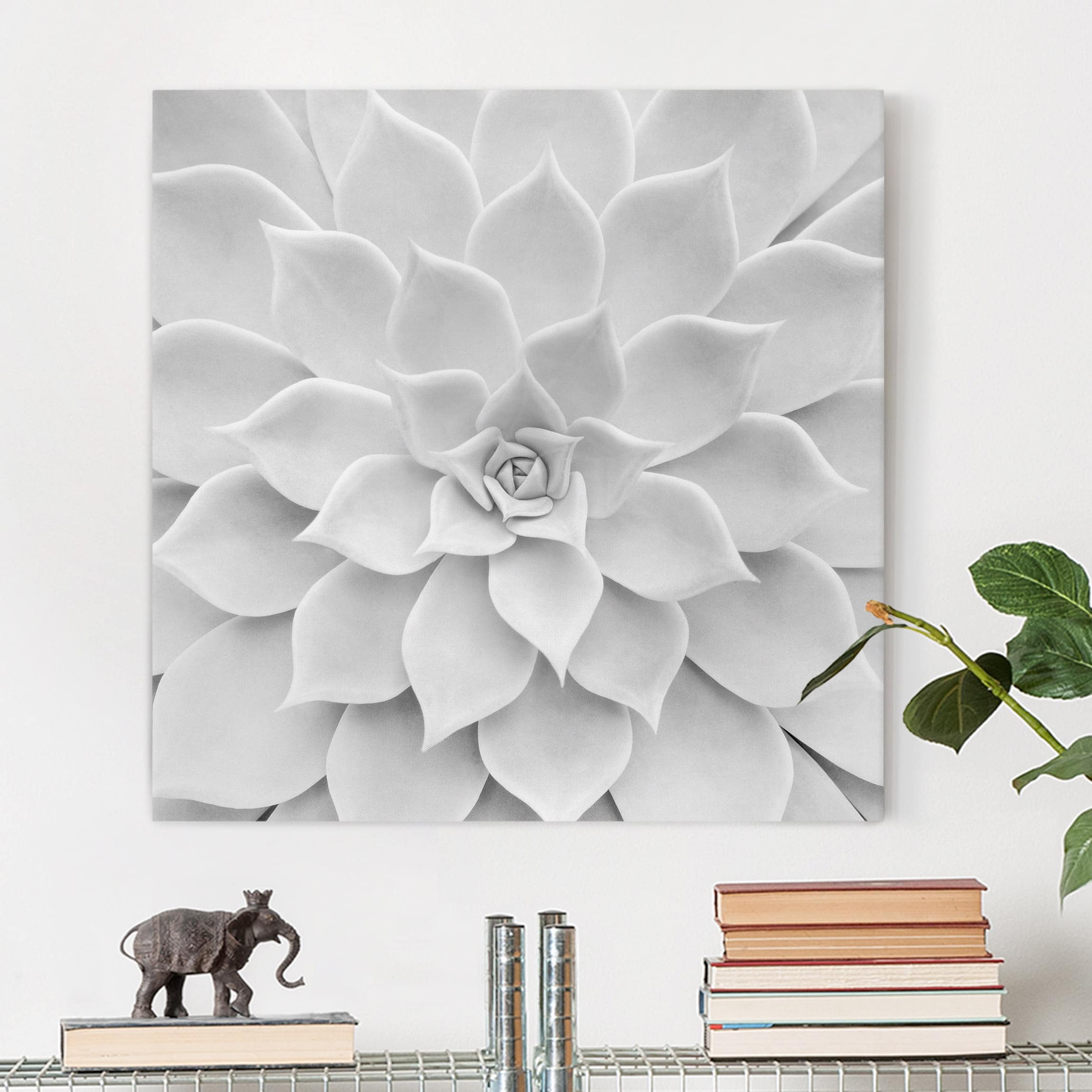 Lienzo cuadro en lienzo bastidor impresion en lienzo blanco y negro botánica planta tropical 250 cocina dormitorio salón pasillo 30 x 30 cm