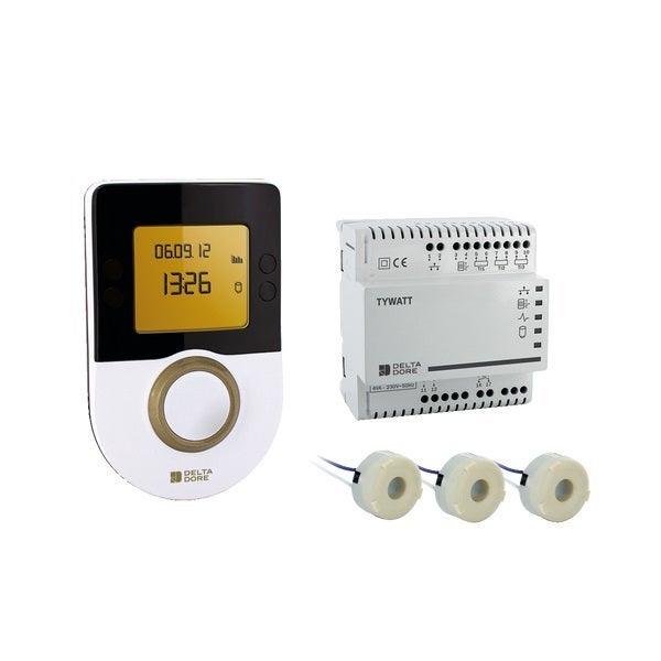Delta Dore - Indicateur de consommations d'énergies TYWATT 1000 - 6110026