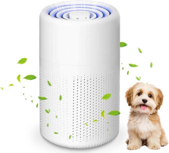 Purificador de aire HEPA H13: elimina polvo, humo y olores de mascotas, ideal para la oficina y el hogar.