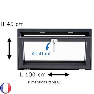 Fenêtre PVC abattant H 45 x L 100 cm anthracite avec poignée