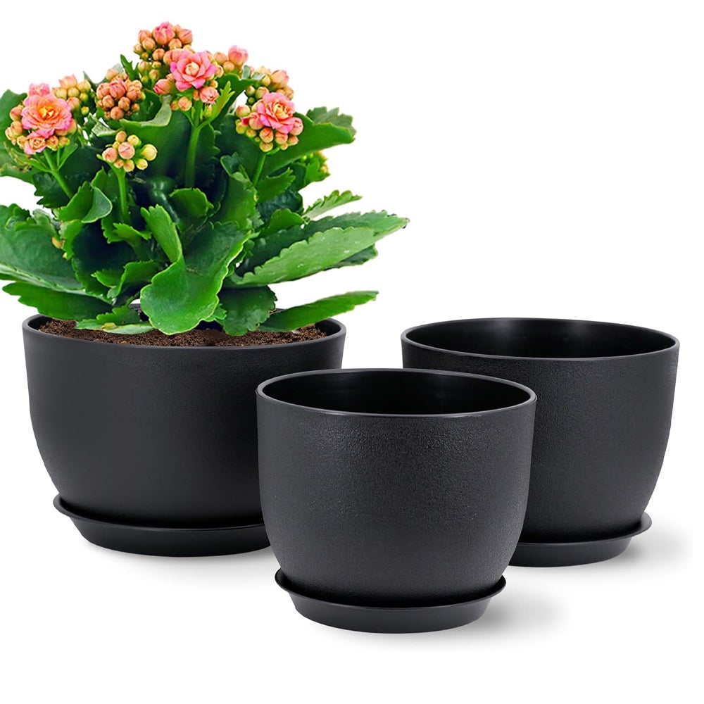 D'vine Dev 4 Pack 5 Pulgadas Macetas De Plástico Modernas, | Meses Sin