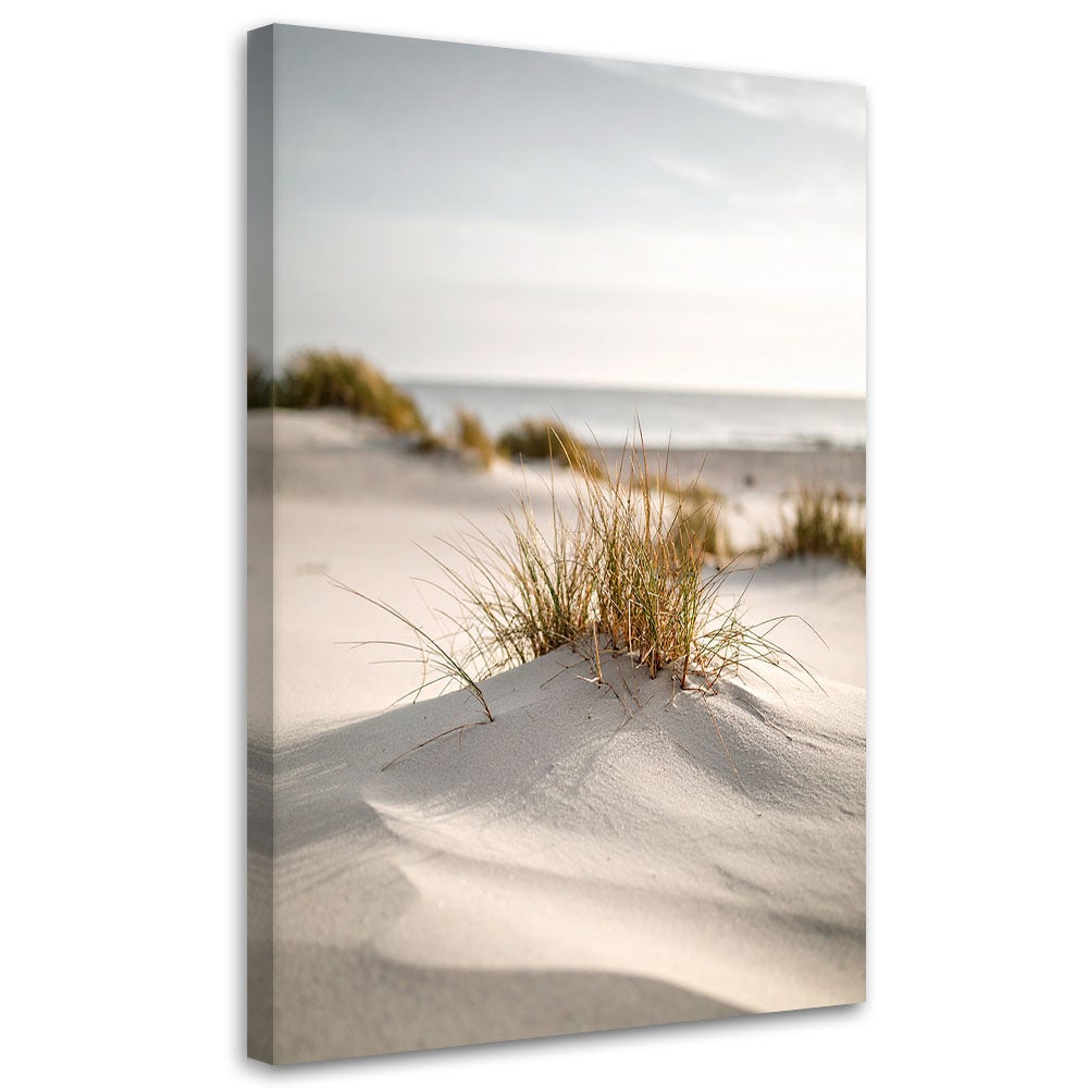 Obraz do salonu sypialni jadalni, Plaża morze wydmy natura rośliny 60x90