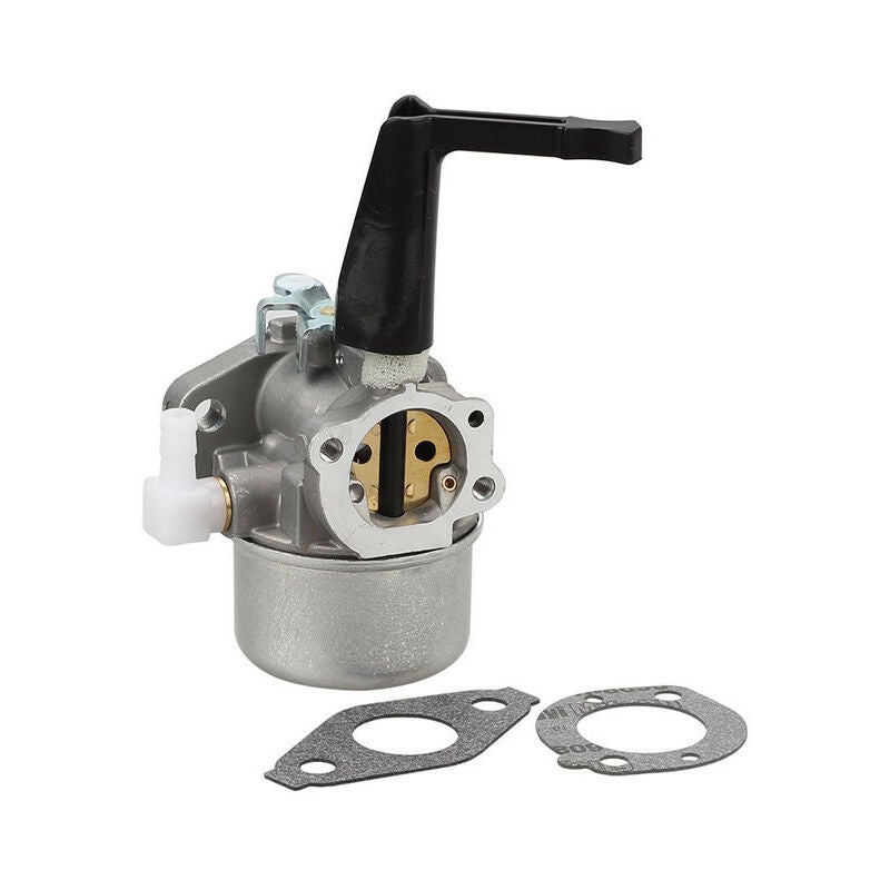 Ersatz Briggs &amp; Stratton Pinnenvergaser 696065 mit Dichtungssatz
