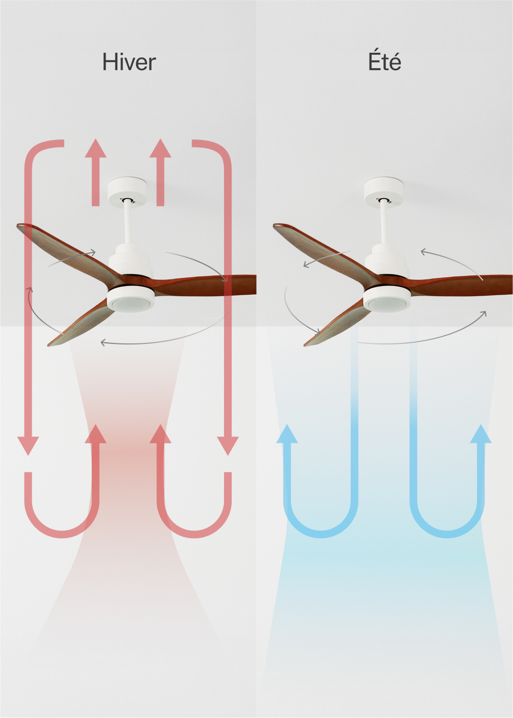 WINDSTYLANCE DC - Ventilateur de Plafond 40W Silencieux Ø132 cm - Avec lumière et contrôleur mural + télécommande - 5