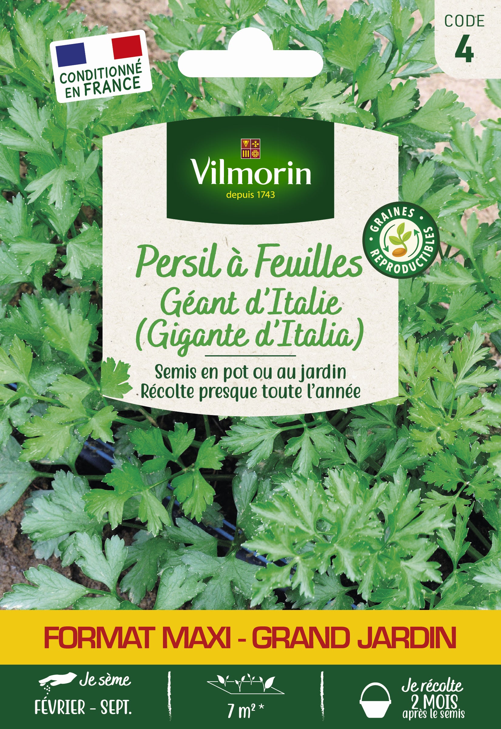 Graines Persil Géant D'Italie Germisem - Le Plus Parfumé, Croissance Rapide