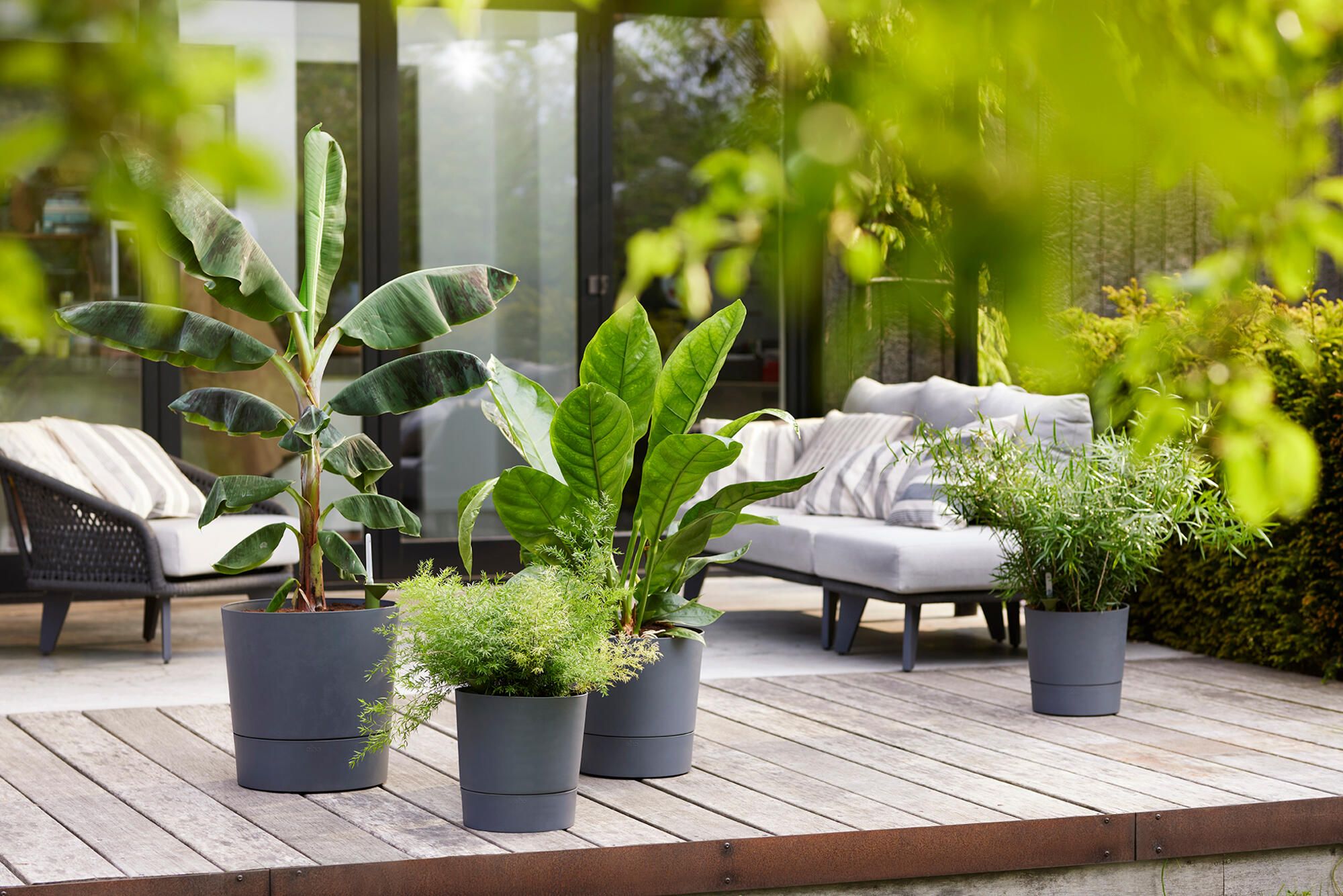 Pot polypropylène rond ELHO Greensense 30 cm, gris foncé - 7