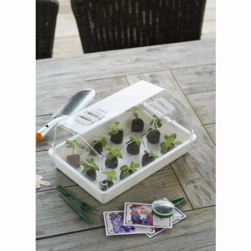 Mini serre terrine et couvercle ventile 37x24x18 xm - 4