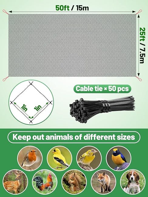 Filet Anti Oiseaux, 7.5m X 15m Filet Oiseaux, Filet Protection Oiseaux Filet Arbre Fruitier Filet Oiseaux Noir Protegez Arbres Fruitiers Et Les Legume Des Dommages Causes 92443692 Filet Anti Oiseaux, 7.5m X 15m Filet Oiseaux, Filet Protection Oiseaux Filet Arbre Fruitier Filet Oiseaux Noir Protegez Arbres Fruitiers Et Les Legume Des Dommages Causes 92443692