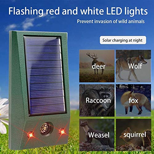 RéPulsif à Ultrasons pour Oiseaux en Plein Air pour Animaux avec Stroboscope de Mouvement et Alarme Anti-Intrusion - 4
