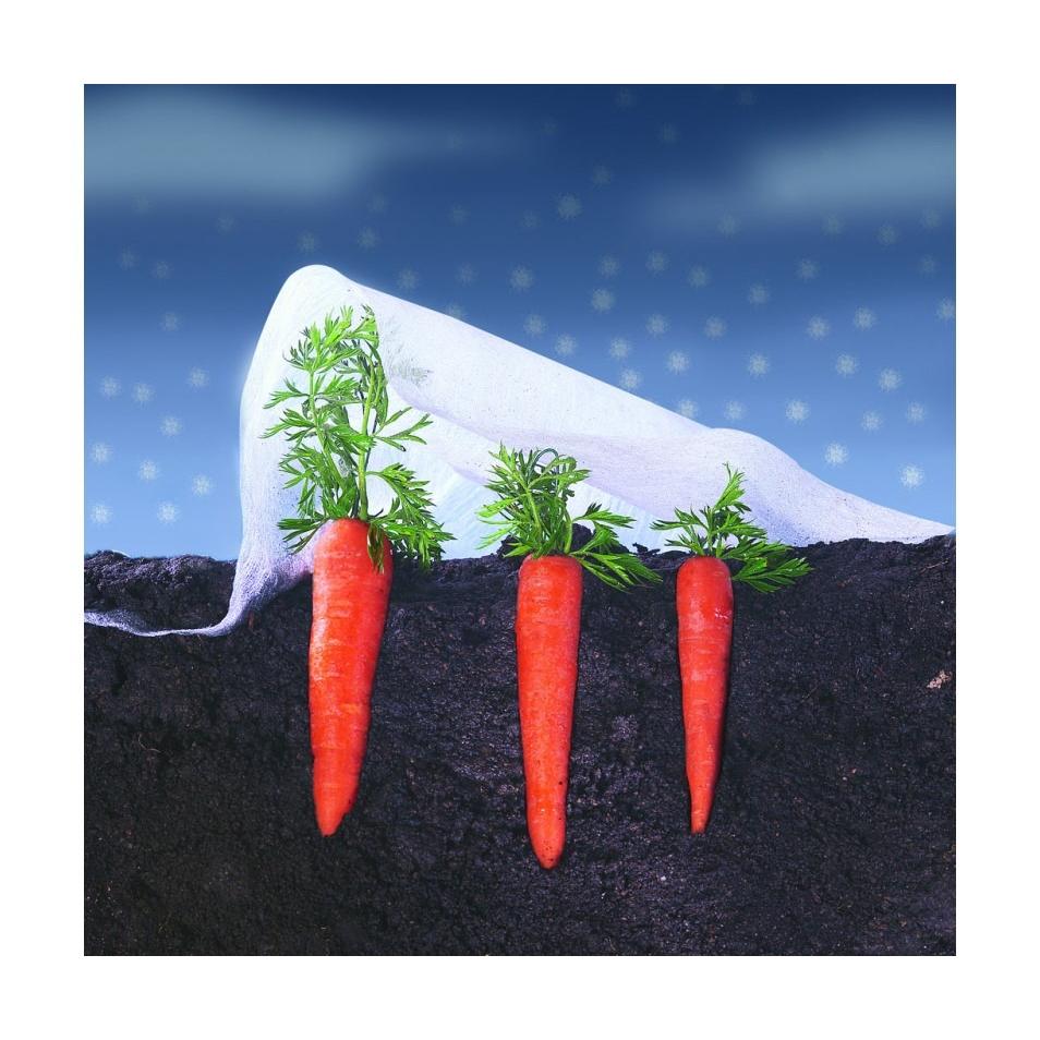 VOILE FORCAGE LUTRASIL 10MX2M NORTENE - 110022 - 5