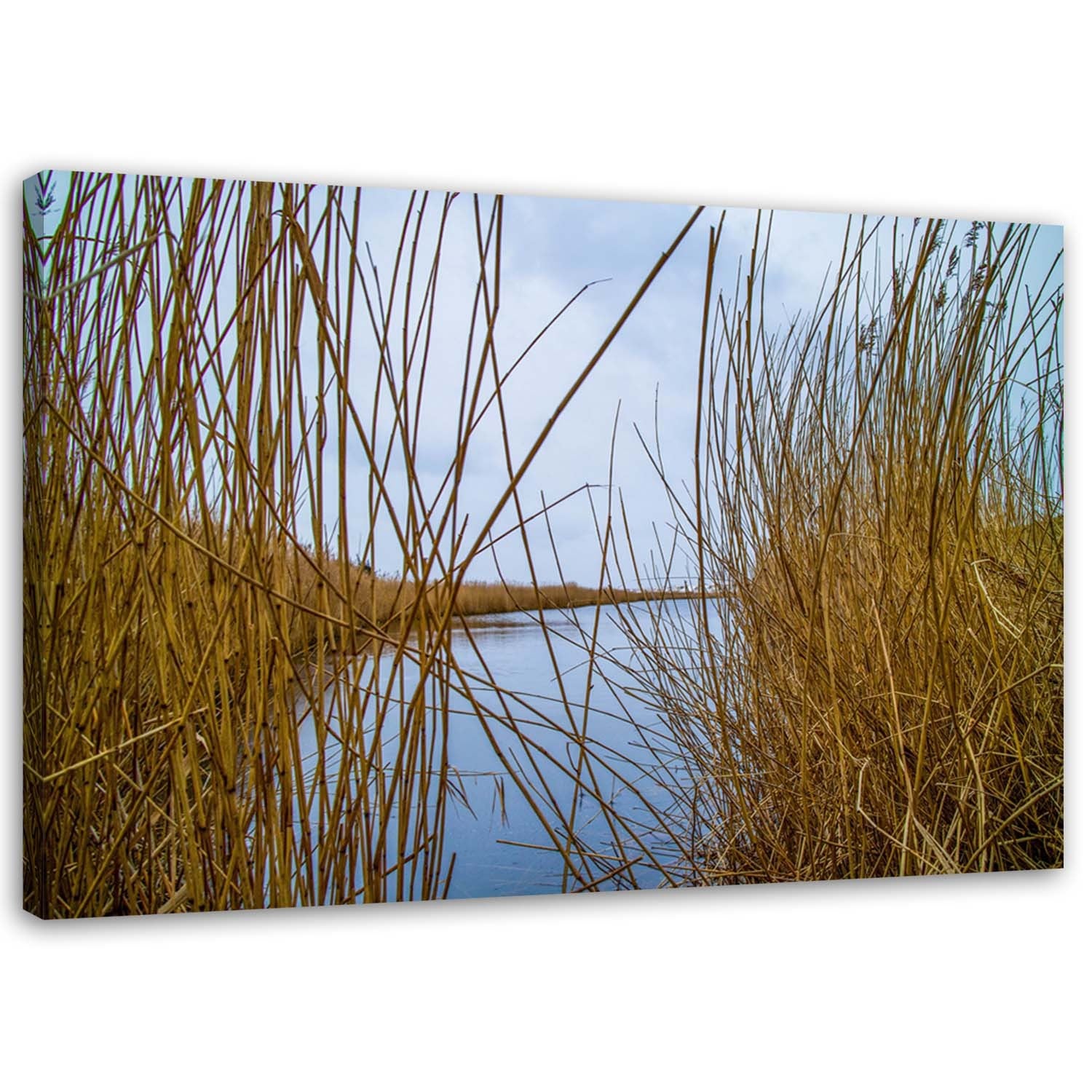Obraz na płótnie, Jezioro natura pejzaż trzciny 100x70