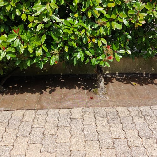 Toile de paillage tissée 130g/m² - Long 15 m, Couleur Marron, Larg 1.05 m - 7