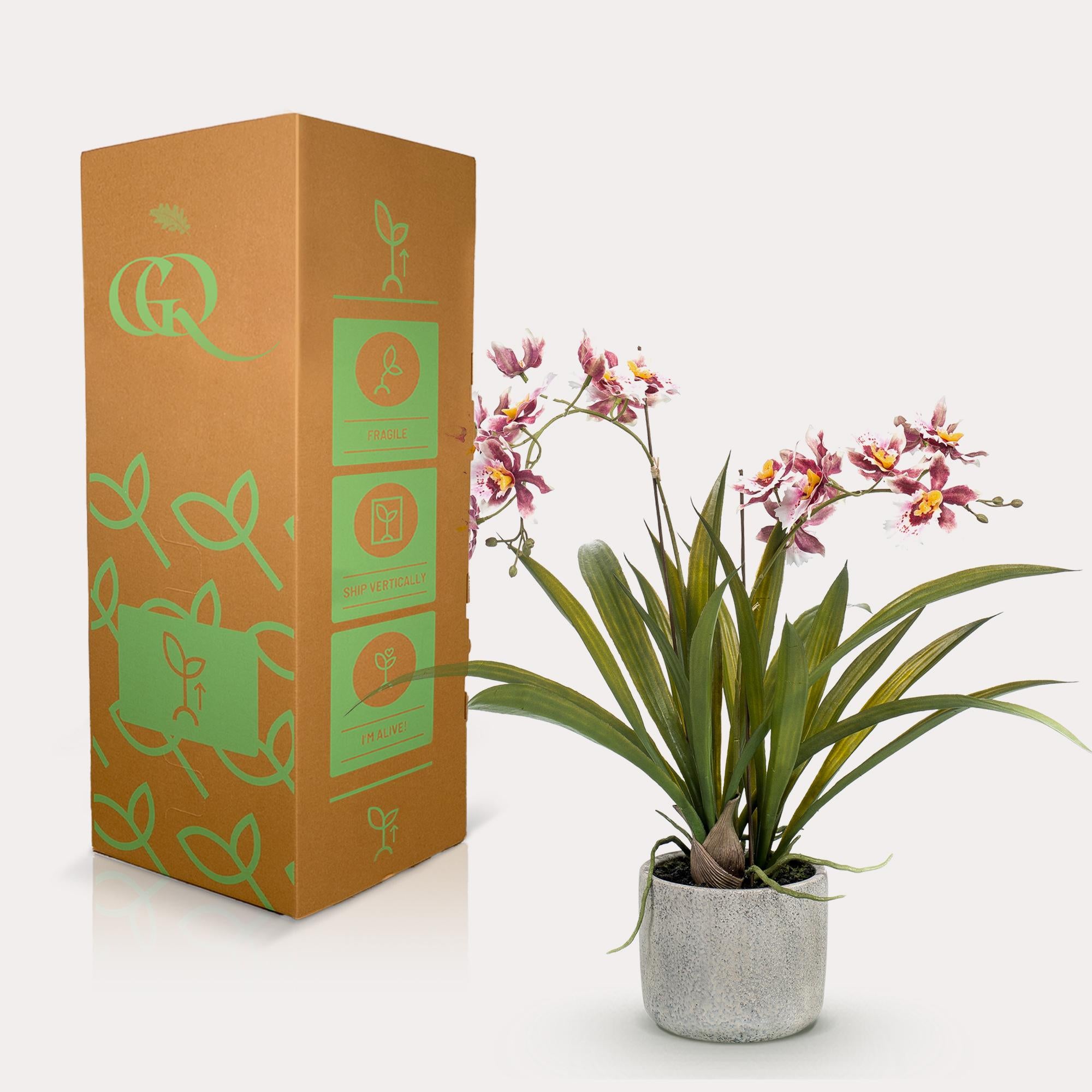 Plante artificielle orchidée bordeaux hauteur 45 cm– ComfortXL Green - 4