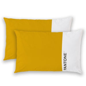ATsense Federe Cuscino Letto 40x40 cm, Set di 2, 100