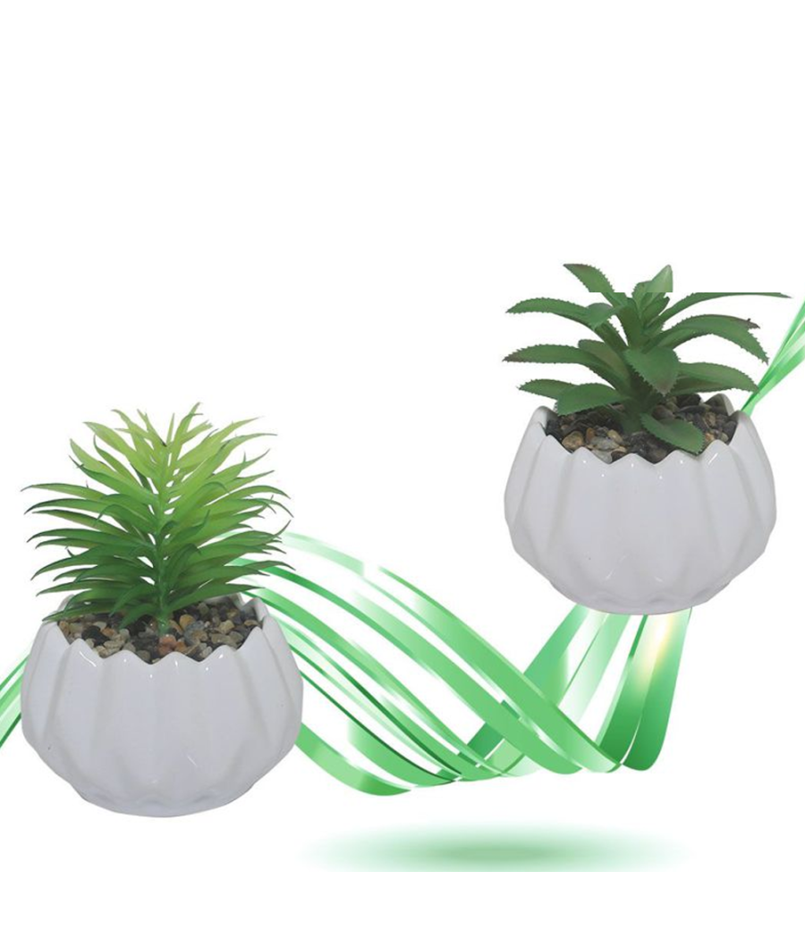 HoitoDeals Bouquet Di Fiori Viventi Vaso Scatola Per Fiorista - Foto 3