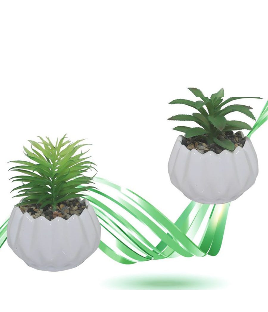 HoitoDeals Bouquet Di Fiori Viventi Vaso Scatola Per Fiorista - Foto 3