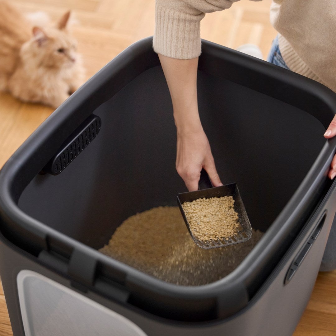 Litière Rotho Mypet Biala XL pour Chats - 61.4x49.2x57.6 cm en Anthracite - 6