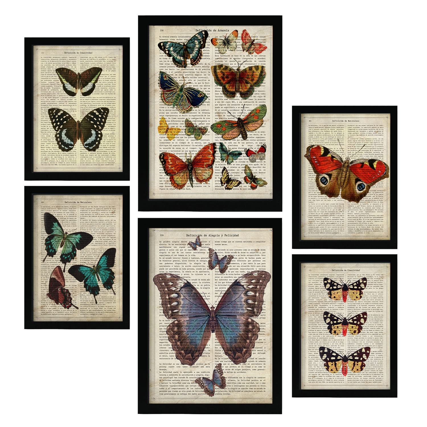 Nacnic posters de posters de mariposas ilustraciones estilo enciclopedia vintage con hermosas mariposas coloridas para la a4 & a3 marco negro