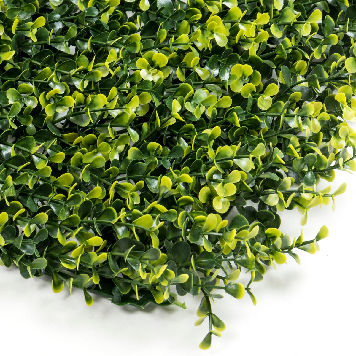 2 Rotoli 1.5x3 Siepe Sintetica Abete Finta Artificiale Recinzione