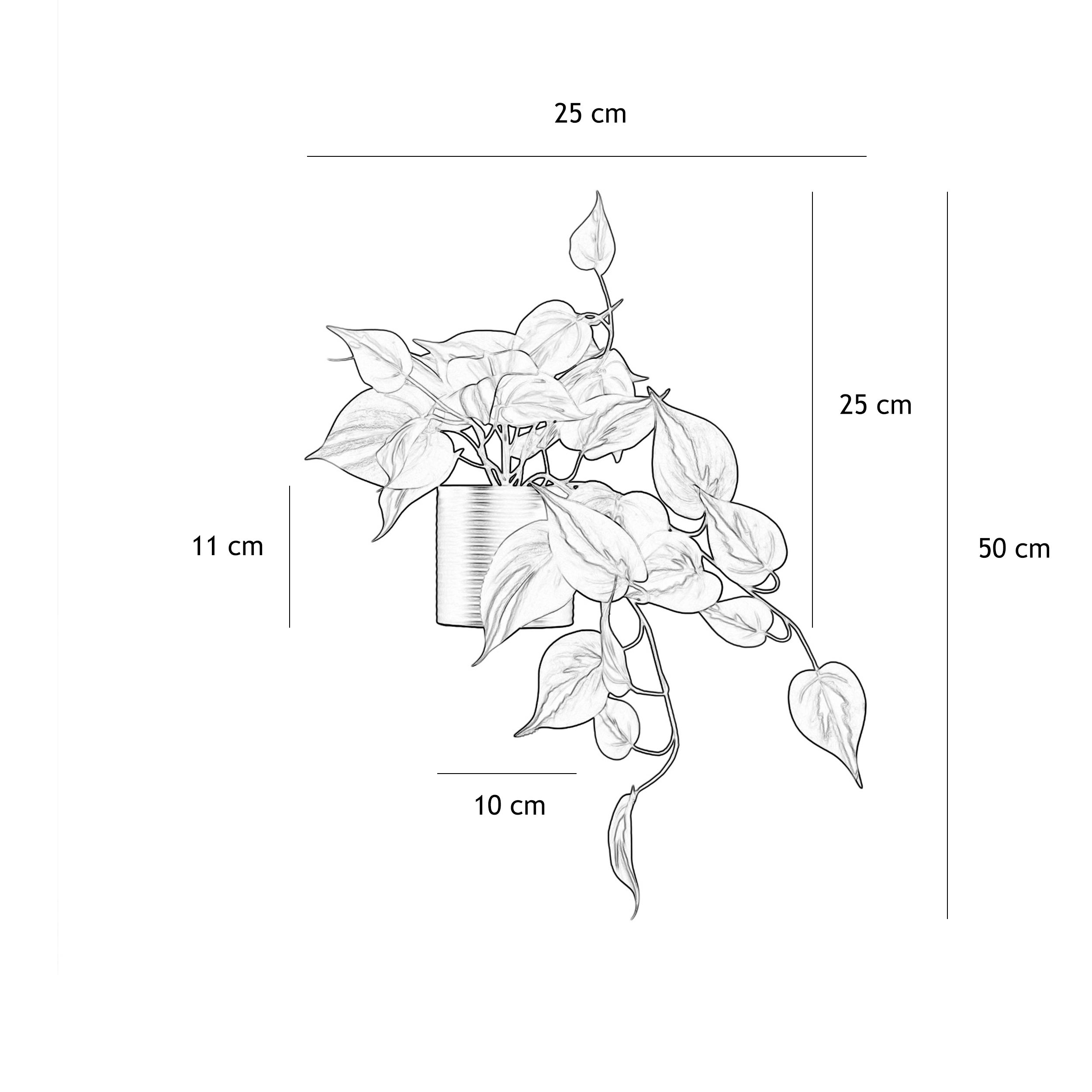 Plante artificielle tombante pothos 50cm - 6