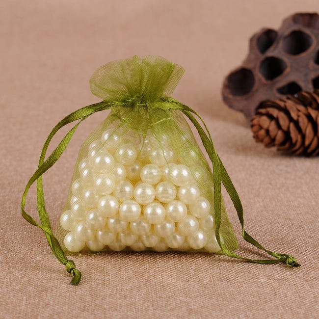 Sollbry 100 Sacchetti Di Protezione Per La Frutta Sacchetti Di Rete Protezione Dei Grappoli Duva Contro Uccelli E Insetti Vespe Calabroni 30 X 20 Cm 84738259 Sollbry 100 Sacchetti Di Protezione Per La Frutta Sacchetti Di Rete Protezione Dei Grappoli Duva Contro Uccelli E Insetti Vespe Calabroni 30 X 20 Cm 84738259