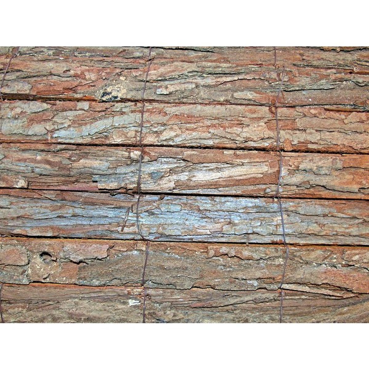 Nature Scherno Giardino Corteccia Pino Naturale 1x3 m Spessore 5 mm - 4