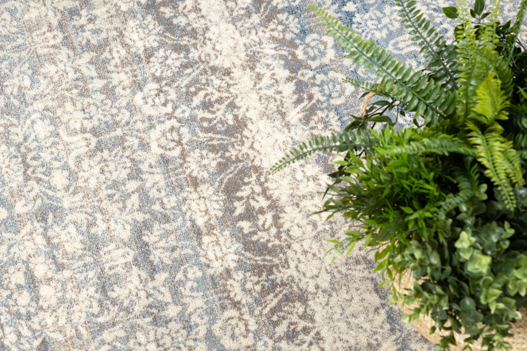 Alfombra de lana NAIN Ornamento vintage 7594/51955 beige / azul 80x150 cm - 5