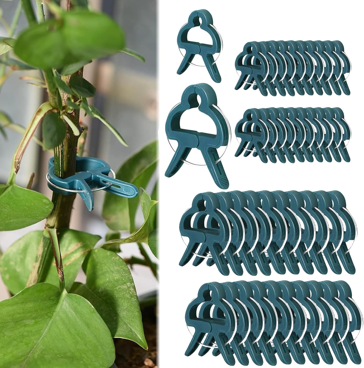 100 Pièces Accroche Plante Grimpante, Attache Plante, Clips de Support 100 Pièces Accroche Plante Grimpante, Attache Plante, Clips de Support