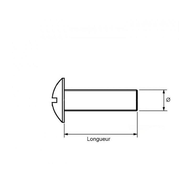 Boulon poêlier - Viswood - Tête large ronde - Acier zingué - 6 x 50 mm - Boîte de 100 - 3