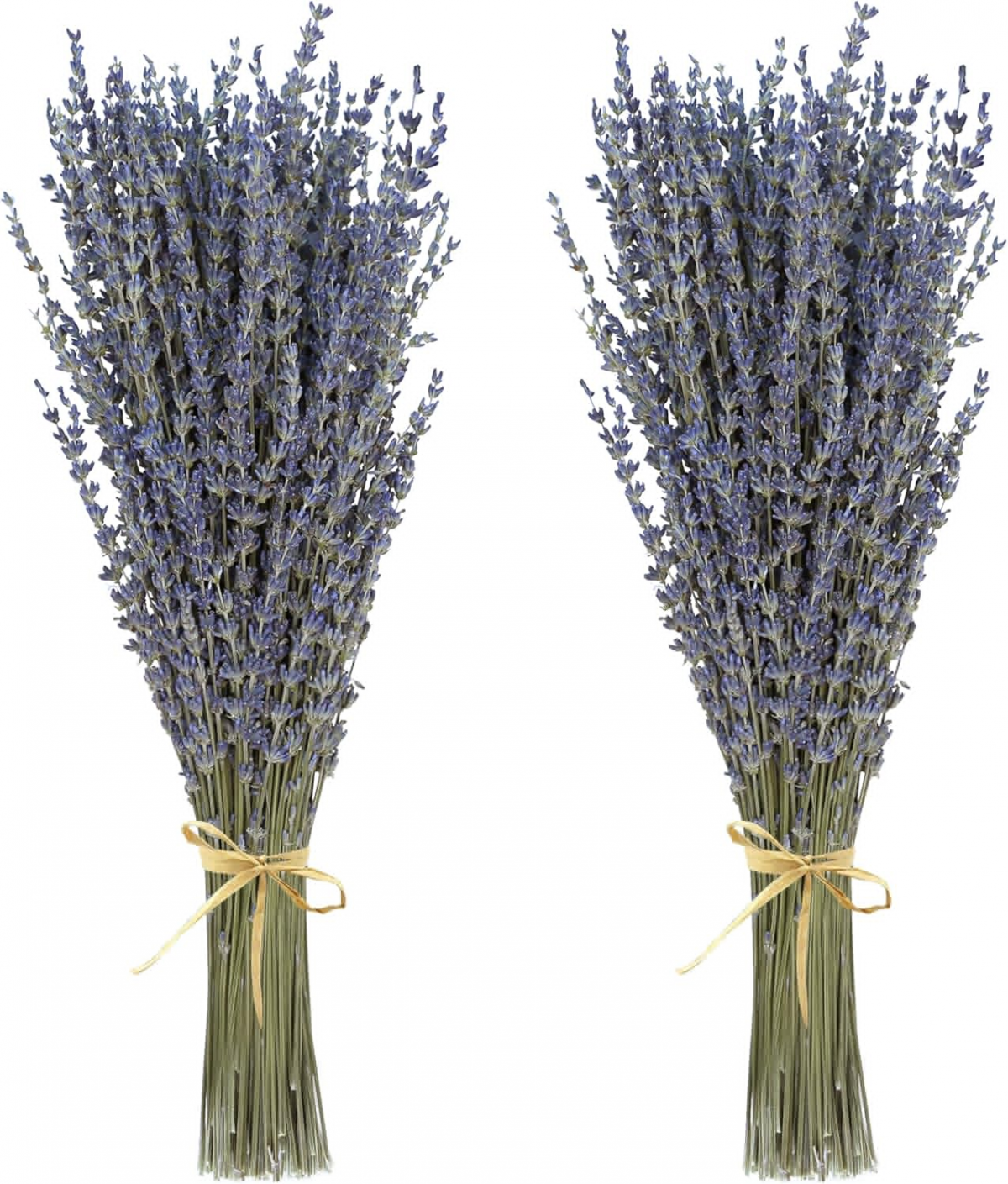 Buchete de flori de lavandă uscate (peste 200 de tulpini, 38-43 cm lungime) pentru decor, meșteșuguri și cadouri