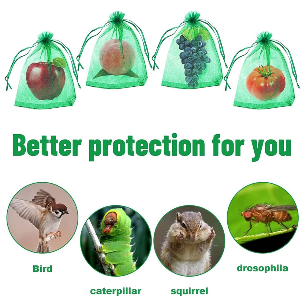 100 sacos de proteção para frutas, 15 x 20 cm, para proteger cachos de uva de pássaros e insetos (vespas, marimbondos). - 3